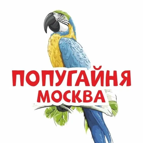 Попугайня: снимок 2